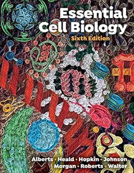 Download Book Essential Cell Biology 6th Edition, Bruce Alberts, Karen Hopkin, Alexander Johnson, David Morgan, Martin Raff, KeithRoberts, Peter Walte, 9781324033356, 9781324033486, 9781324033417, 978-1324033356, 978-1324033486, 978-1324033417