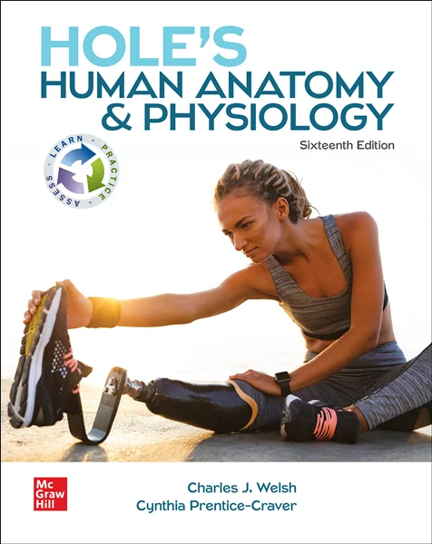 Download Book Hole's Human Anatomy & Physiology 16th Edition, Charles Welsh, Cynthia Prentice-Craver, 1260265226, 1264262930, 1264262884, 9781264262885, 9781264262939, 9781260265224, 978-1264262885, 978-1264262939, 978-1260265224, B09HBBLMJ4, B0B8SL8NC3