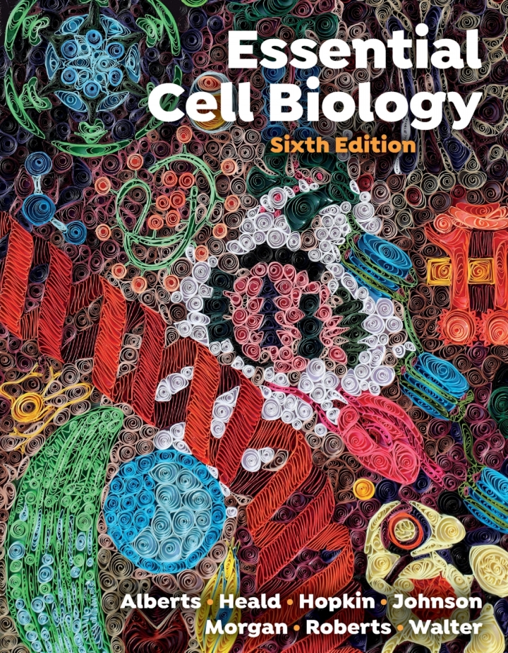Download Book Essential Cell Biology 6th Edition, Bruce Alberts, Karen Hopkin, Alexander Johnson, David Morgan, Martin Raff, KeithRoberts, Peter Walte, 9781324033356, 9781324033486, 9781324033417, 978-1324033356, 978-1324033486, 978-1324033417