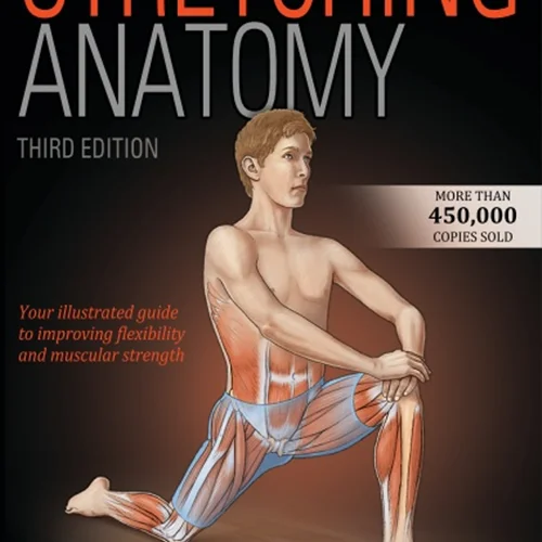 Stretching Anatomy