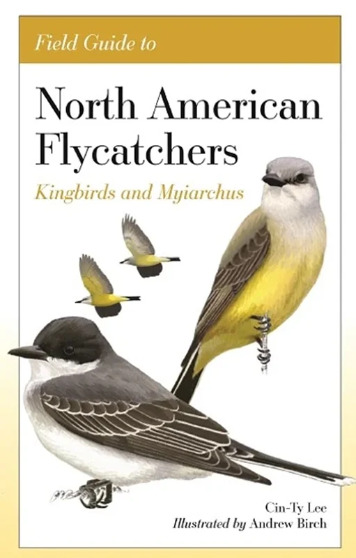 Field Guide to North American Flycatchers : Kingbirds and Myiarchus