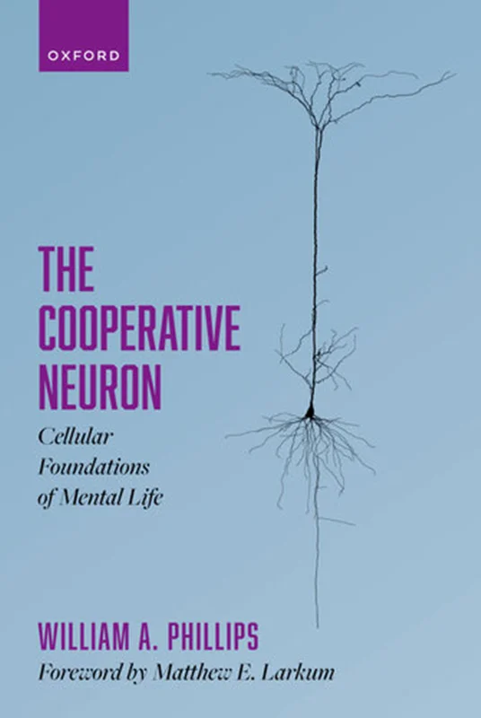 The Cooperative Neuron: Cellular Foundations of Mental Life