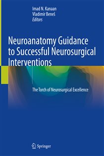 Neuroanatomy Guidance to Successful Neurosurgical Interventions