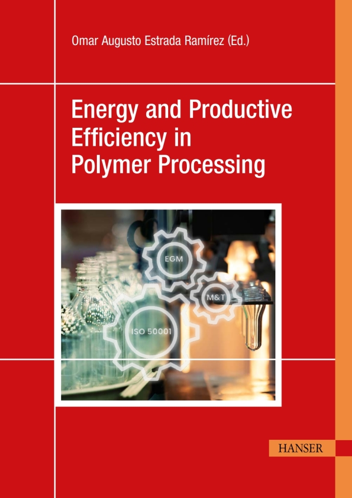 Energy and Productive Efficiency in Polymer Processing