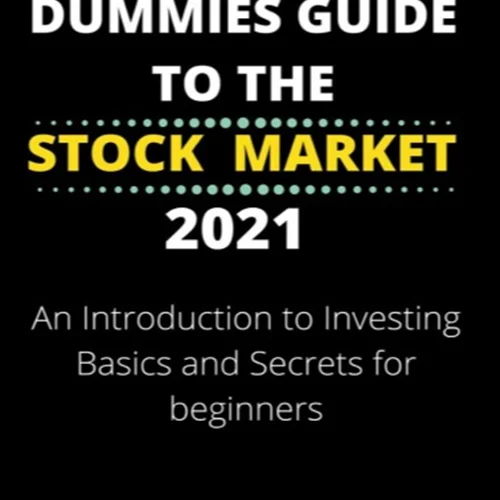 The Dummies Guide To the Stock Market 2021: An Introduction To Investing Basics and Secrets for Beginners