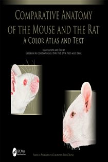 Comparative Anatomy of the Mouse and the Rat