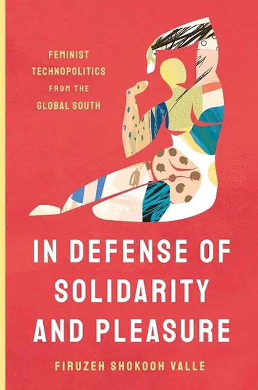 In Defense of Solidarity and Pleasure: Feminist Technopolitics from the Global South