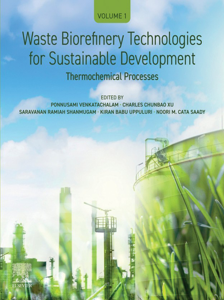 Waste Biorefinery Technologies for Sustainable Development: Volume 1: Thermochemical Processes