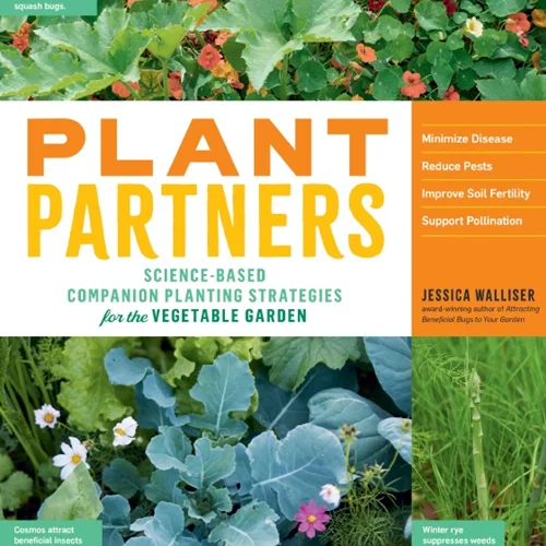 شرکای گیاهی: استراتژی های کاشت همراه مبتنی بر علم برای باغ سبزیجات