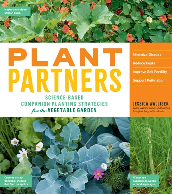 شرکای گیاهی: استراتژی های کاشت همراه مبتنی بر علم برای باغ سبزیجات