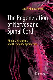 The Regeneration of Nerves and Spinal Cord About Mechanisms and Therapeutic Approaches