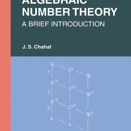 Algebraic Number Theory: A Brief Introduction