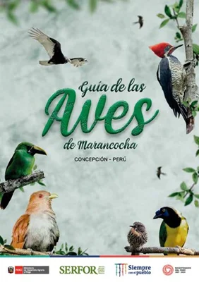 Guía de las aves de Marancocha. Concepción - Junín - Perú