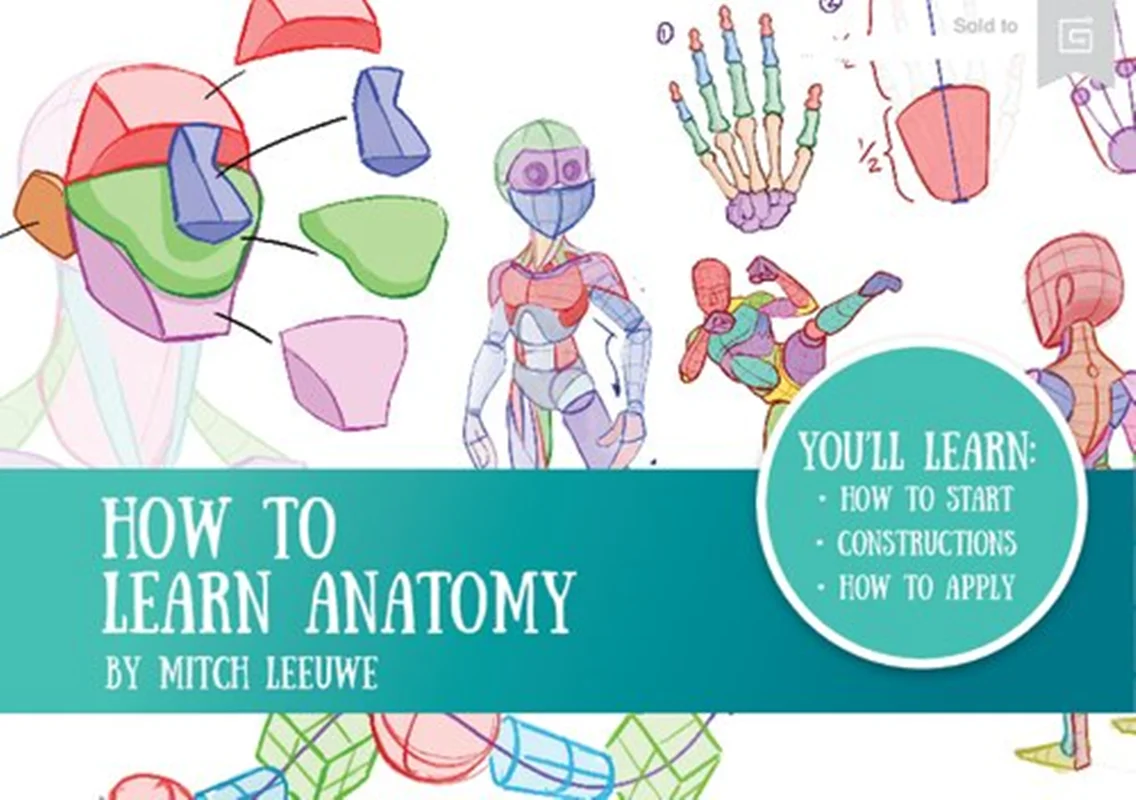 How To Learn Anatomy