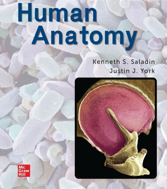 Human Anatomy: 2024 Release
