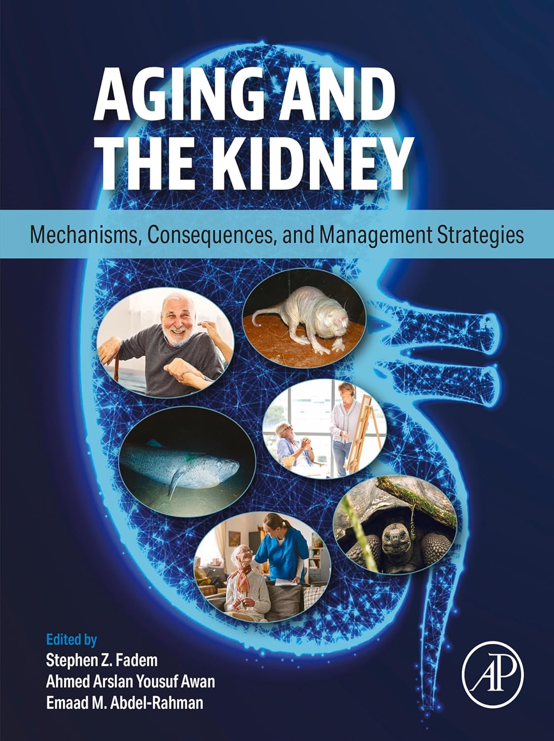 Aging and the Kidney: Mechanisms, Consequences, and Management Strategies