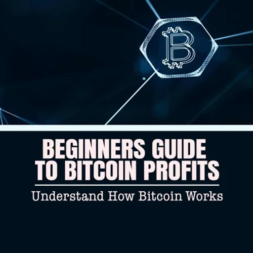 Beginners Guide To Bitcoin Profits: Understand How Bitcoin Works