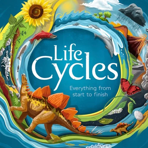 چرخه های حیات: همه چیز از ابتدا تا انتها