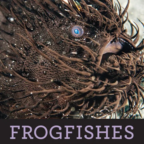 Frogfishes: Biodiversity, Zoogeography, and Behavioral Ecology