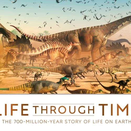 حیات در طول زمان: داستان 700 میلیون ساله حیات روی زمین