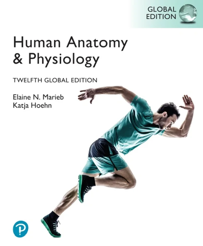 Human Anatomy & Physiology, Global Edition