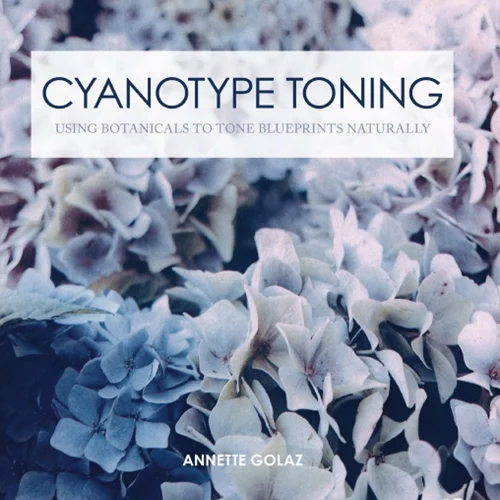 Cyanotype Toning: Using Botanicals to Tone Blueprints Naturally