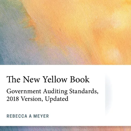 دانلود کتاب زرد جدید: استاندارد های حسابرسی دولت