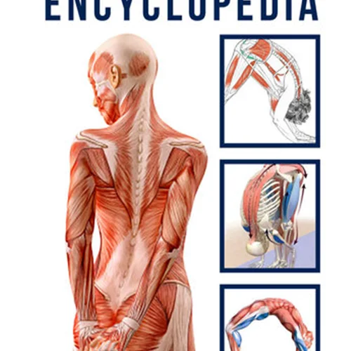 Stretching Workouts Encyclopedia
