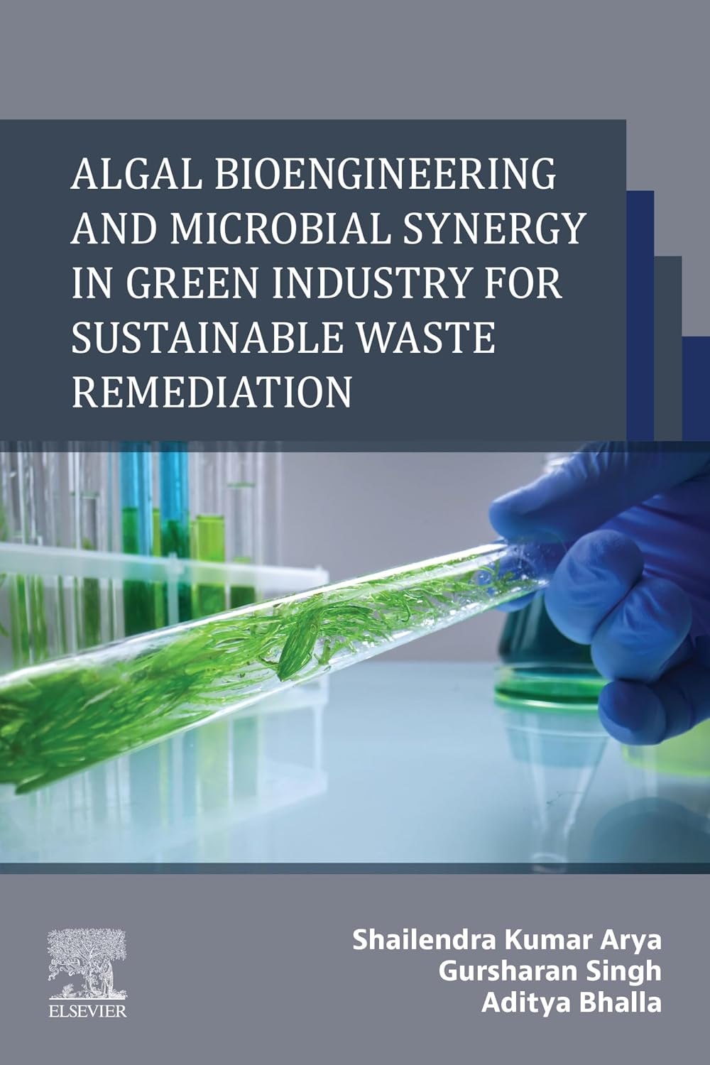 Algal Bioengineering and Microbial Synergy in Green Industry for Sustainable Waste Remediation