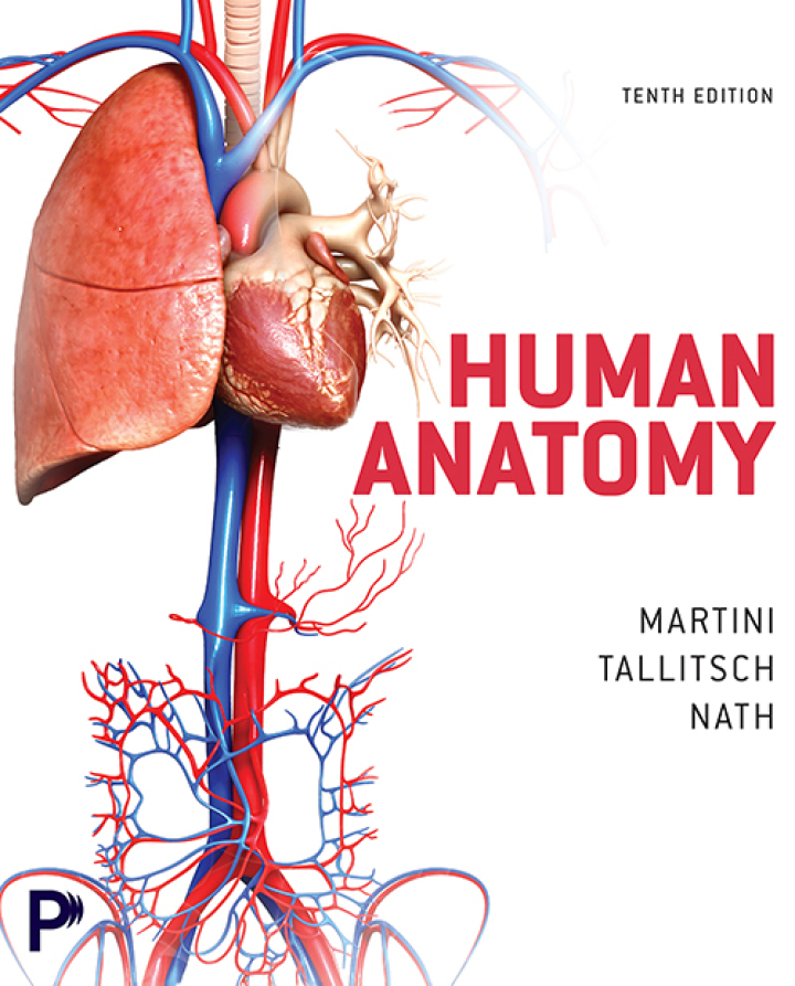 Human Anatomy 10th Edition by Frederic H. Martini; Robert B. Tallitsch; Judi L. Nath