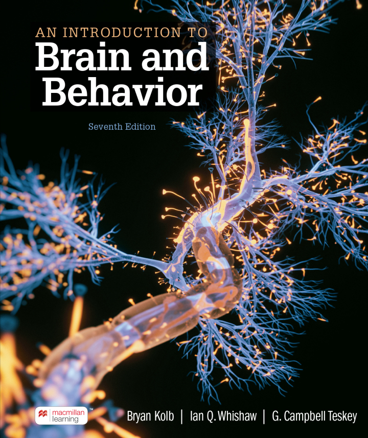 An Introduction to Brain and Behavior 7th Edition
