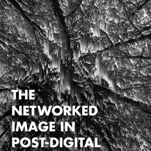 The Networked Image in Post-Digital Culture