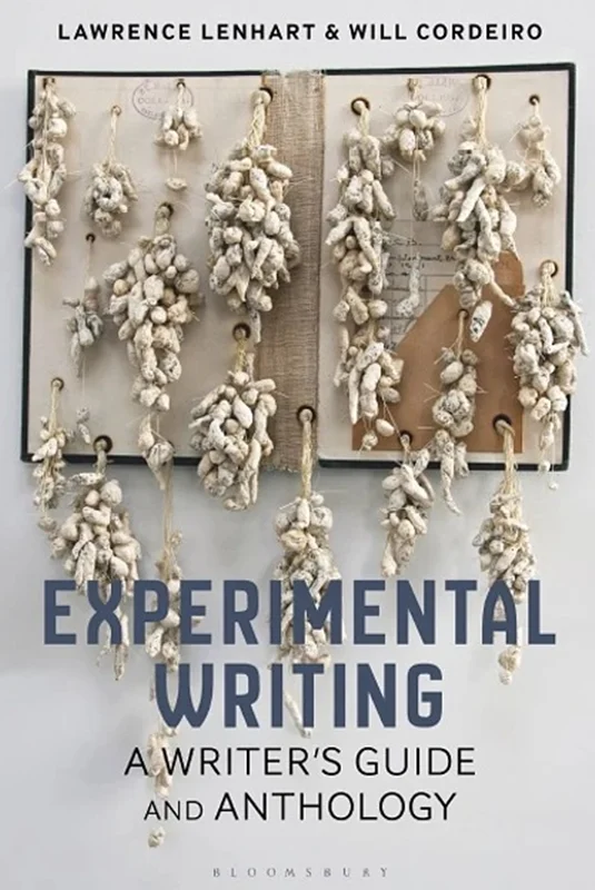 Experimental Writing: A Writer's Guide and Anthology