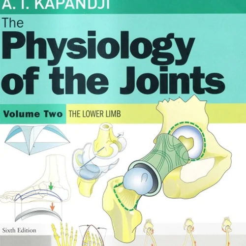دانلود کتاب فیزیولوژی مفاصل، جلد 2: اندام تحتانی