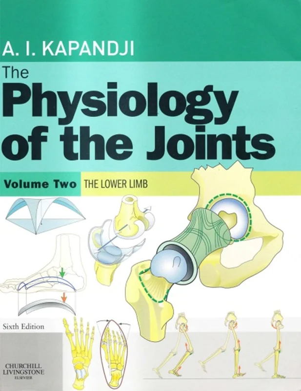 دانلود کتاب فیزیولوژی مفاصل، جلد 2: اندام تحتانی